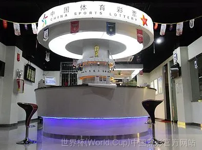FIFA 中国平台介绍